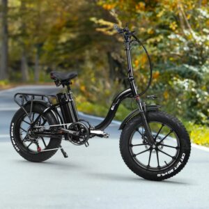 CMACEWHEEL Y20 750W 20 6.jpeg