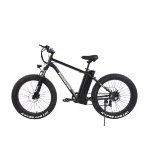 Description Velo electrique VTT fatbike Velobecane Fatbike 1.jpg