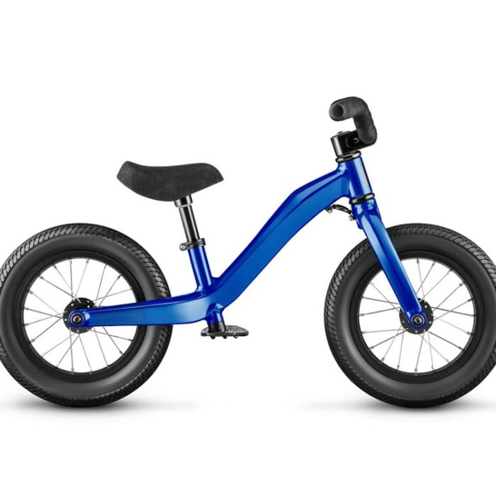 Draisienne-Moustache-Mercredi-12-3.jpg Draisienne-Moustache-Mercredi-12-3.jpg