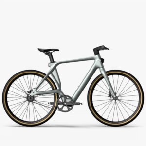 Fiido Air Vélo électrique Carbone