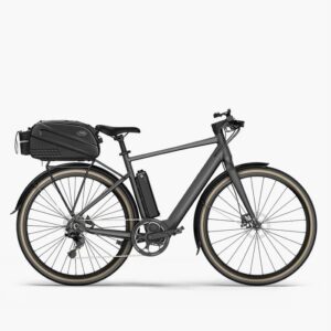 Fiido E-Gravel C21 vélo électrique