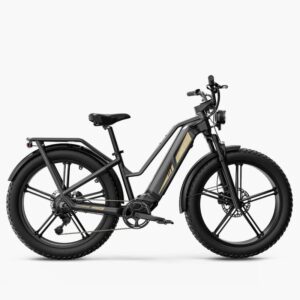 Fiido Titan Vélo électrique Cross & Randonnée