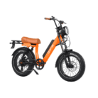 Onemile-SCRAMBLER-V-PRO-6.png