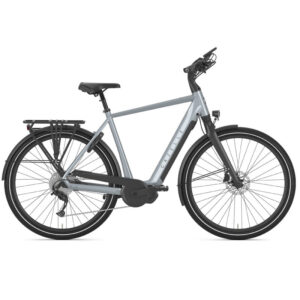 VTC electrique Gazelle Chamonix T10 HMS 1.jpg