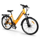 VTC-electrique-Molicycle-R1-250W-26-3.jpeg
