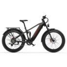 VTT-electrique-Dukawey-Silvertip8-1000W-26-4.jpeg