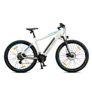 VTT électrique NCM M3