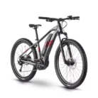 VTT-electrique-R-RAYMON-HardRay-E-3.0-2022-.webp