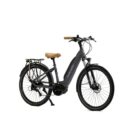 Velo-Electrique-Granville-E-Absolute-15-500-Wh-2.jpg