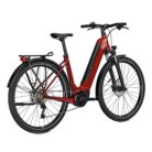 Velo-electrique-Focus-PLANET²-6.8-2022-4.jpeg