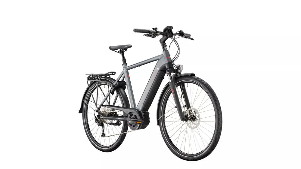 Victoria-e-Trekking-12.6-Diamant-1.jpeg Victoria-e-Trekking-12.6-Diamant-1.jpeg